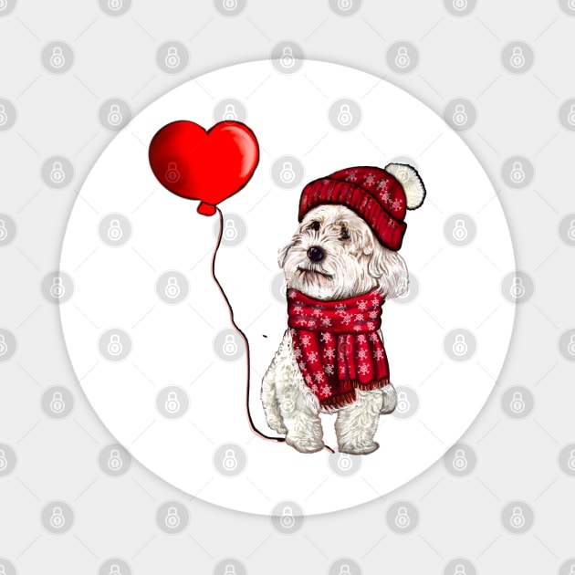 The Best Valentine’s Day Gifts 2022 - Cavalier king charles spaniel in red beanie hat and scarf, White Cavapoo Valentine’s day Magnet by Artonmytee